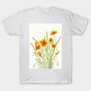 Mexican Gold Poppy - Botanical Illustration T-Shirt